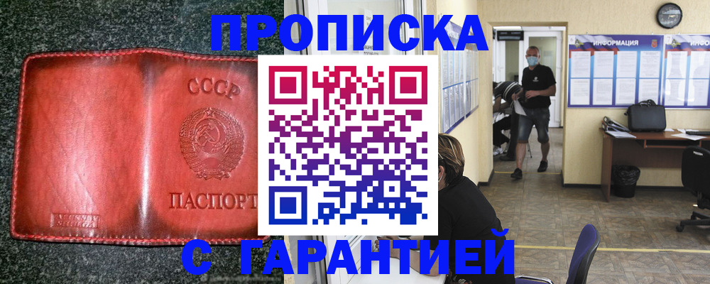 прописка гарантия в Лыткарино